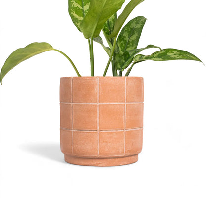 Grid Terracotta Planter - Large