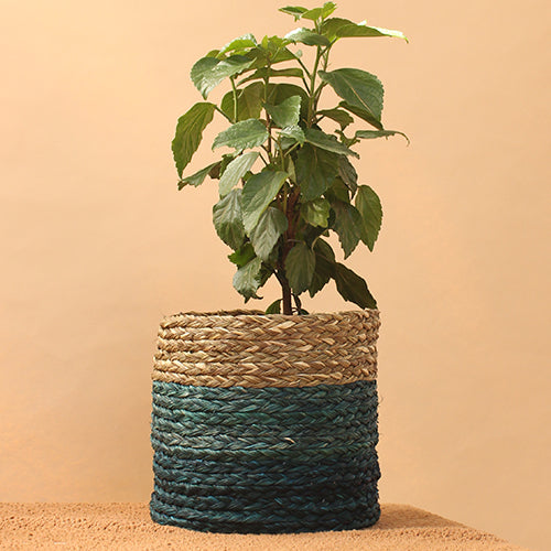 Babui Eco-Pot - Indigo